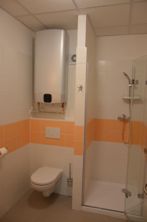 Penzion Havelka Apartmany Železná Ruda 외부 사진